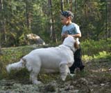 Fairytale_pups_18May_e