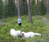 Fairytale_pups_18May_lll