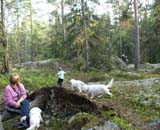 Fairytale_pups_18May_qqq