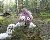 Fairytale_pups_18May_y