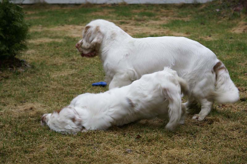 Olga_4,5months_Hilla