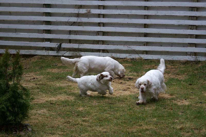 Olga_4,5months_Hilla_Bumbaa_b