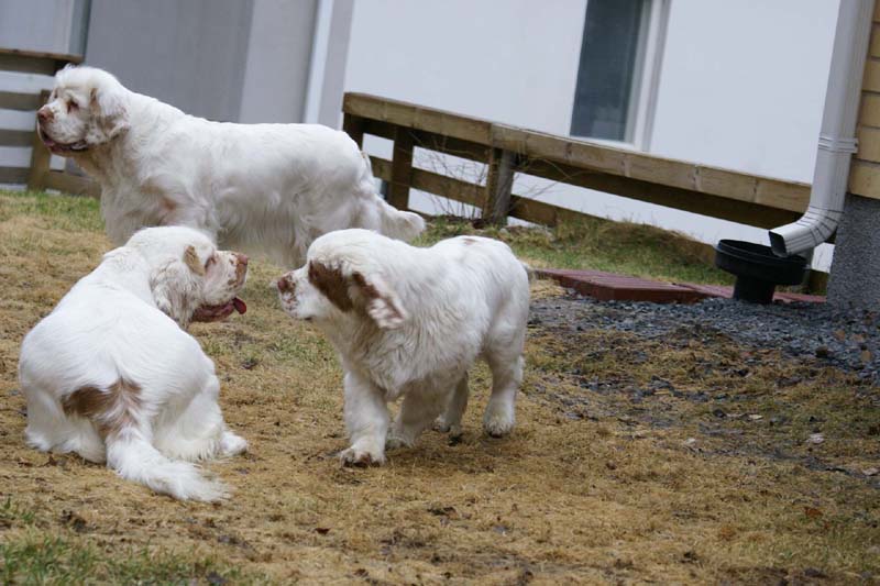 Olga_4,5months_Hilla_Bumbaa_c