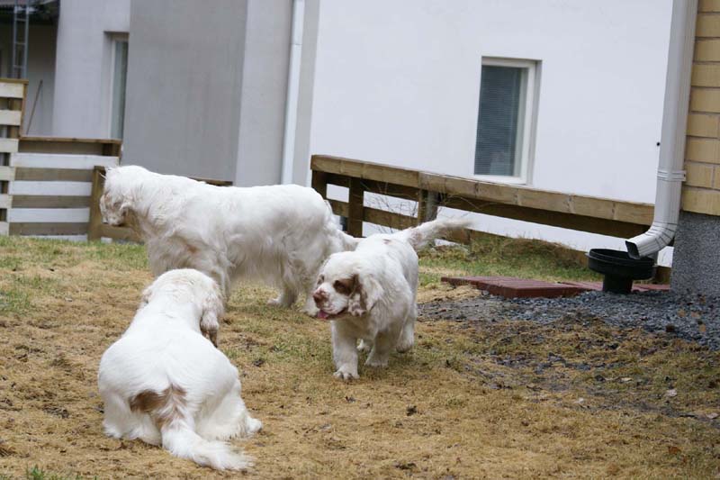 Olga_4,5months_Hilla_Bumbaa_d