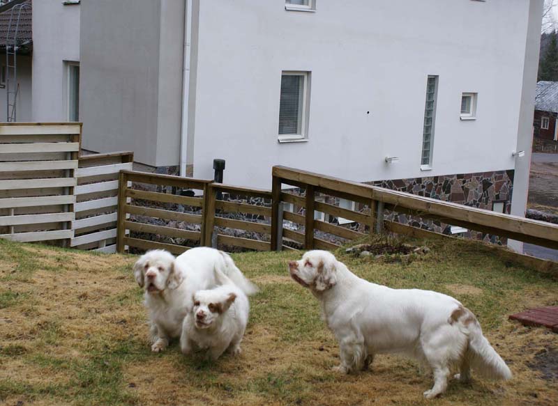 Olga_4,5months_Hilla_Bumbaa_e