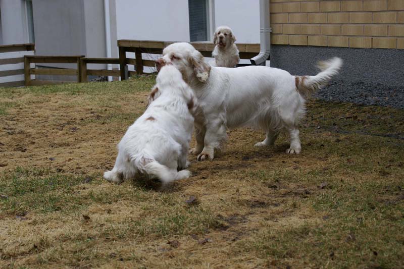 Olga_4,5months_Hilla_b