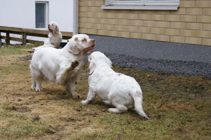 Olga_4,5months_Hilla_c