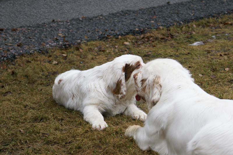 Olga_4,5months_Hilla_d