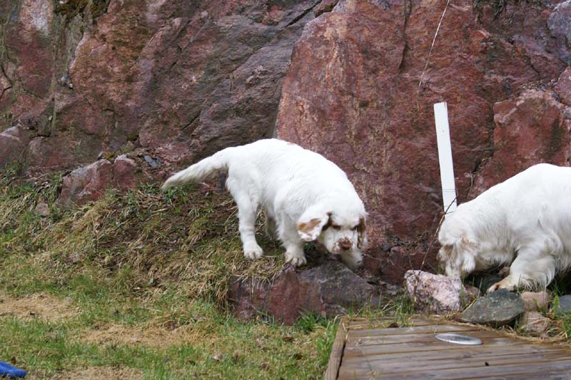 Olga_4,5months_Hilla_e