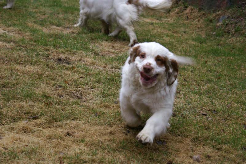 Olga_4,5months_Hilla_f