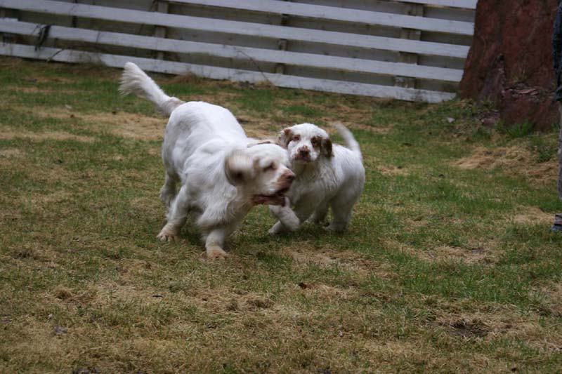 Olga_4,5months_Hilla_g