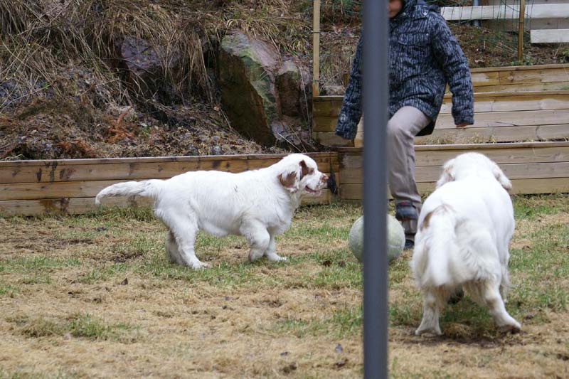 Olga_4,5months_Hilla_h