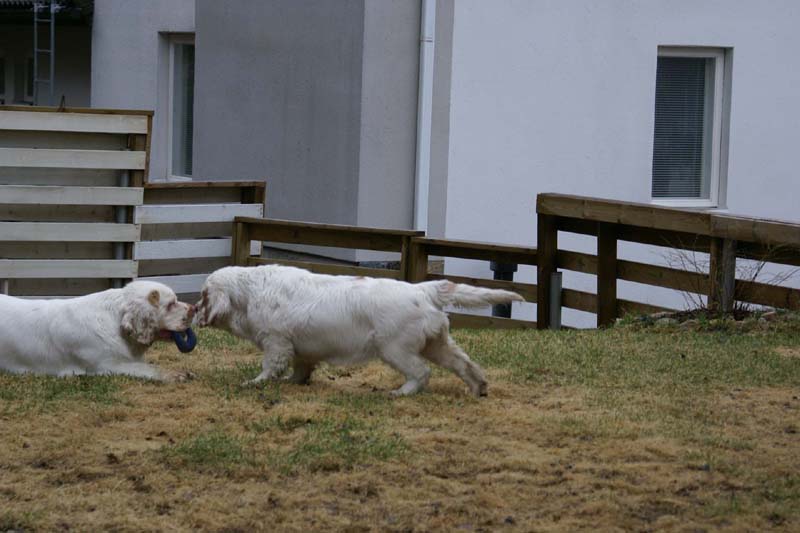 Olga_4,5months_Hilla_i