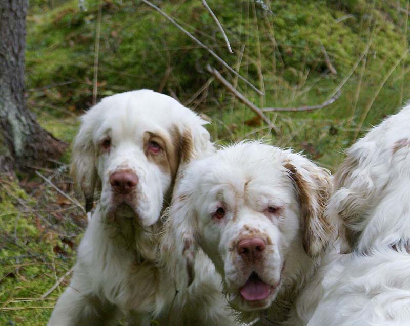 Puppe_7months_Bumbaa