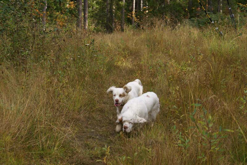 Puppe_7months_Valle_b