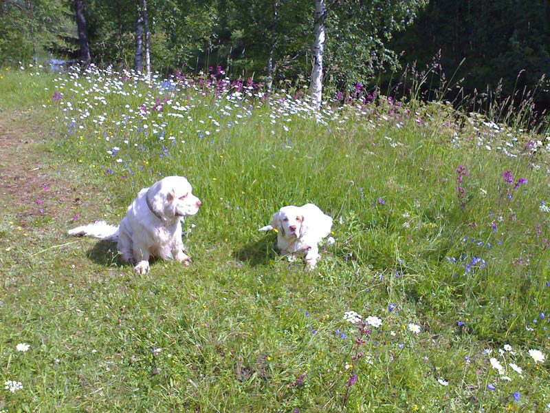 x_Puppe_5months_with_Valle