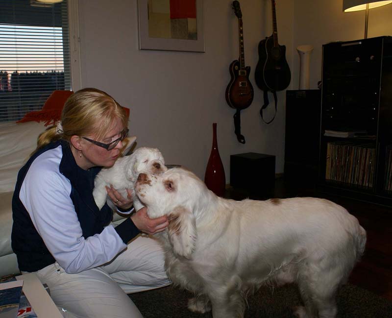 Reno_7weeks_Cotton_Mari_b