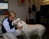 Reno_7weeks_Cotton_Mari_b