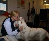 Reno_7weeks_Cotton_Mari_c