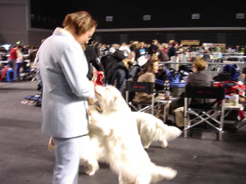 Tallinn_14Feb2010_Cotton