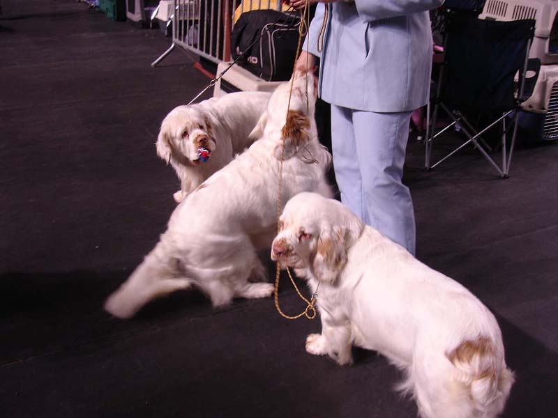 Tallinn_14Feb2010_Hilla_Reno_Cotton