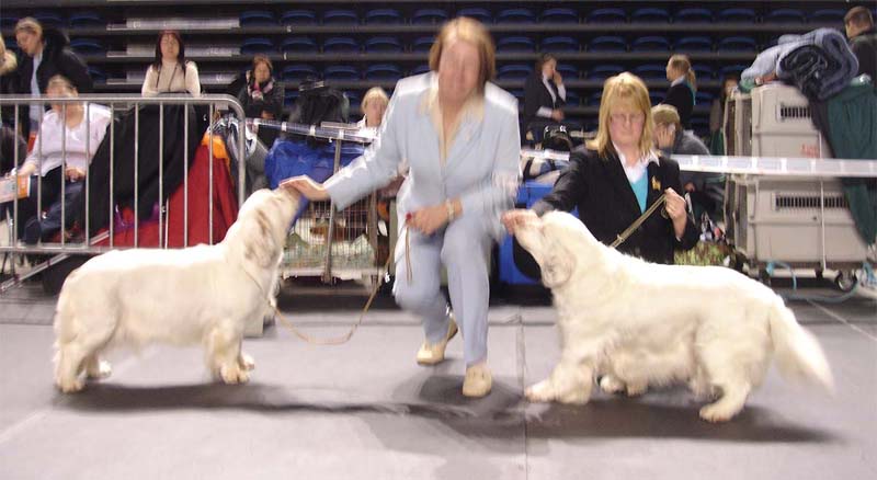 Tallinn_14Feb2010_Hilla_Reno_b