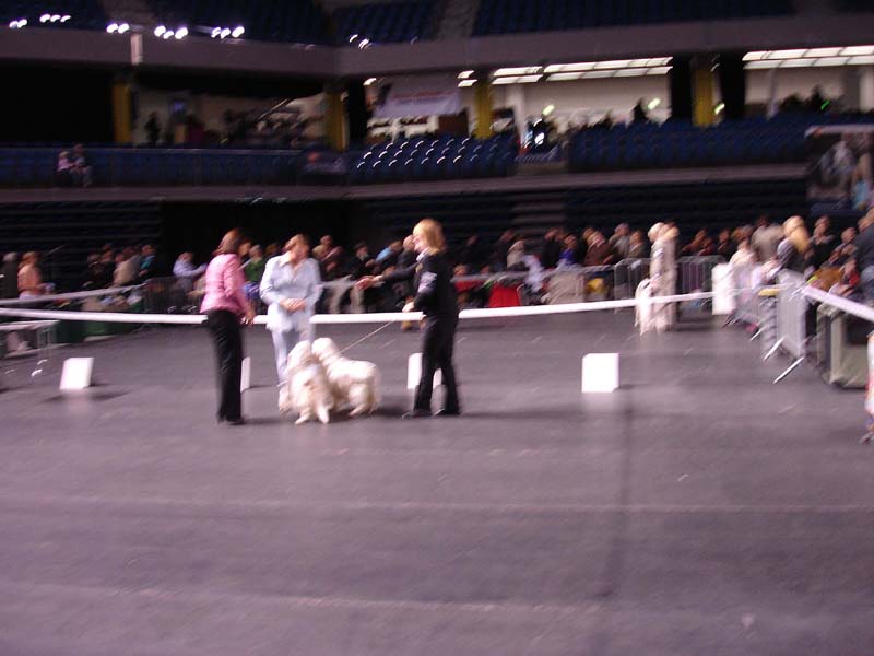 Tallinn_14Feb2010_Hilla_Reno_c