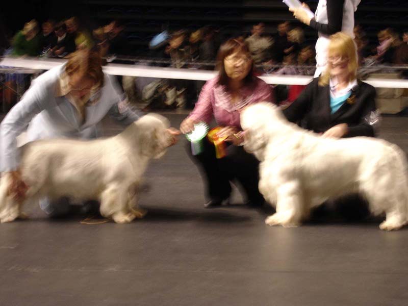 Tallinn_14Feb2010_Hilla_Reno_d