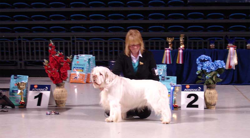 Tallinn_14Feb2010_Reno_BIG2