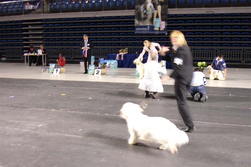 Tallinn_14Feb2010_Reno_BIG2_c