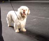 Tallinn_14Feb2010_Reno_BIG2_b