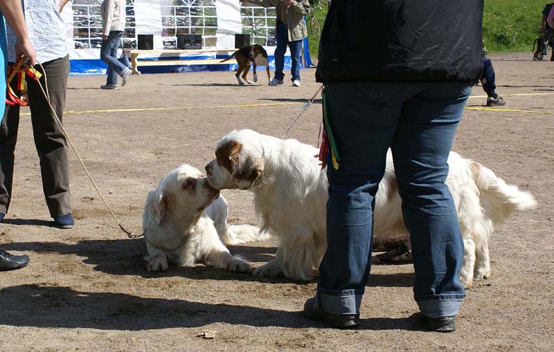 Bumbaa_15months_Raahe_Rocky22months_a