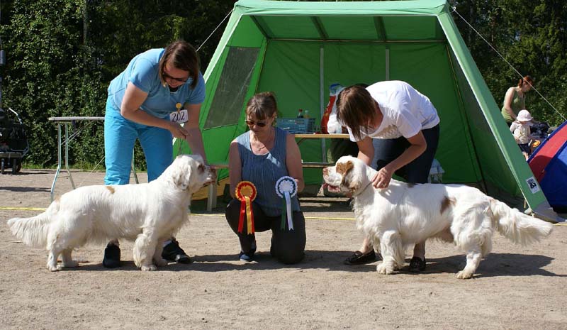 Bumbaa_15months_Rocky_22months_Raahe