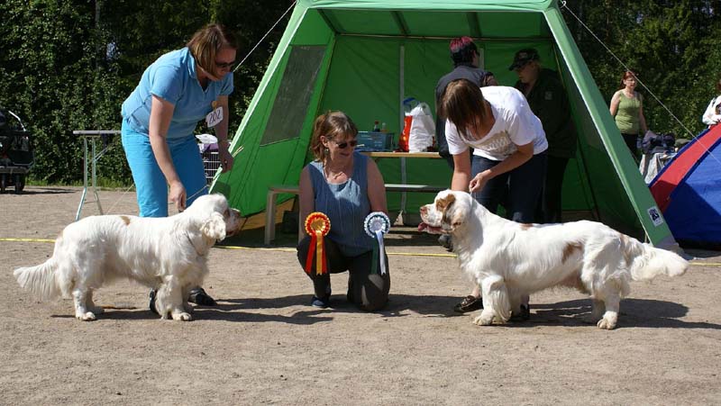 Bumbaa_15months_Rocky_22months_Raahe_b