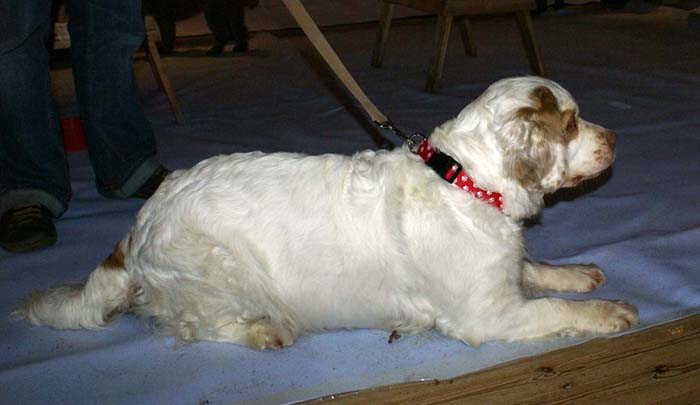 Sara_Jaala15Nov2008_g