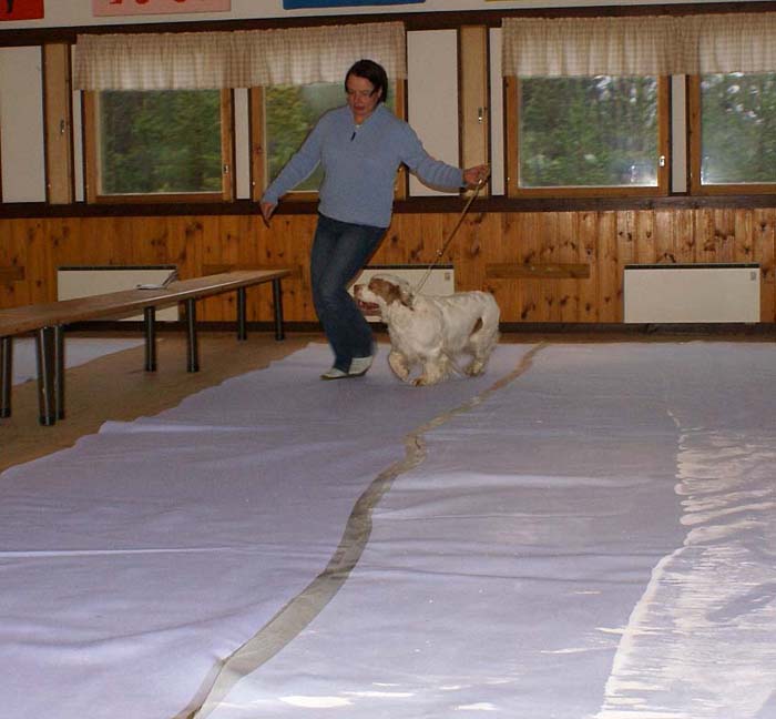 Sara_Jaala15Nov2008_k