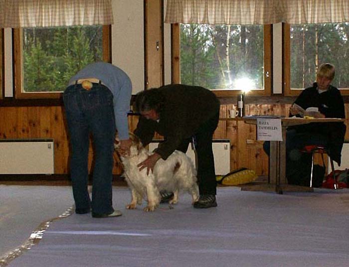 Sara_Jaala15Nov2008_n