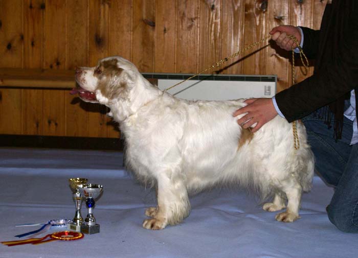 Sara_Jaala15Nov2008_x