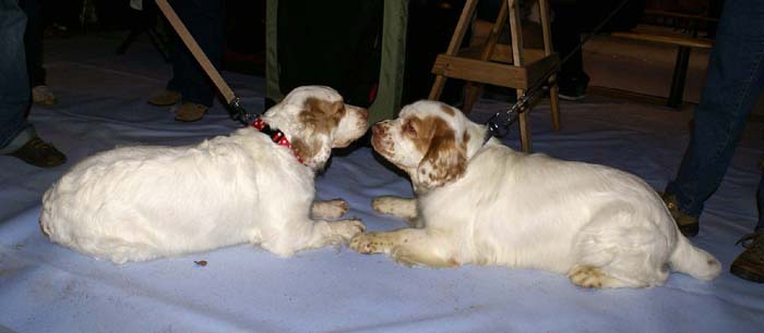 Sara_Tage_Jaala15Nov2008_b