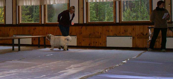 Tage_Jaala15Nov2008_a