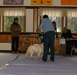 Sara_Jaala15Nov2008_m