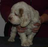 Girl_GreenBack_6weeks_b