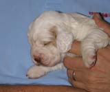 Girl_GreenBack_2weeks_a