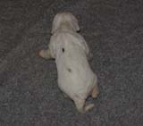 Girl_PurpleBack_2weeks_e