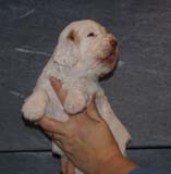 Girl_GreenBack_3weeks_b