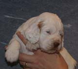 Girl_GreenBack_3weeks_f