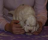 Girl_GreenBack_4weeks_a