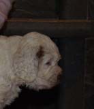 Girl_GreenBack_4weeks_c