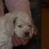 Girl_GreenBack_4weeks_e