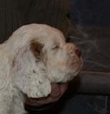 Girl_GreenBack_5weeks_d